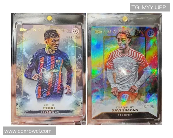 世界杯足球球星卡收藏指南 揭秘肥包的珍稀价值与投资潜力